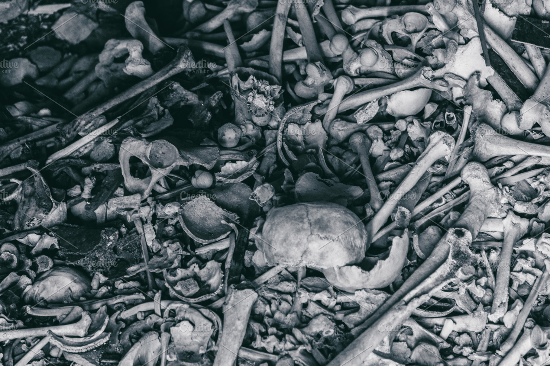 A lot of human bones, a Health & Medical Photo by rtyc