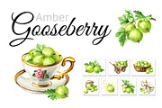 Amber Gooseberry. Watercolor set, a Food Illustration by Daria Ustiugova (Thumbnail 1 of 23)