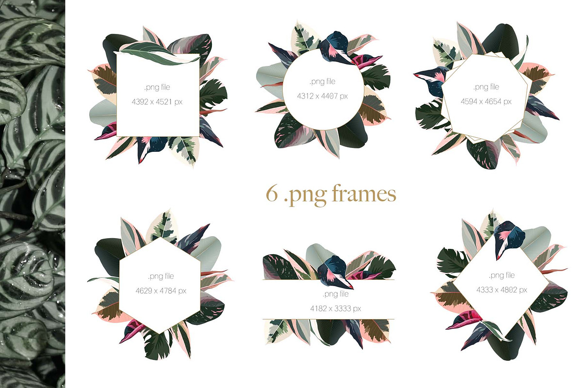 Pink tropical frames and patterns, an Illustration by marie dricot (Photo 6 of 15)
