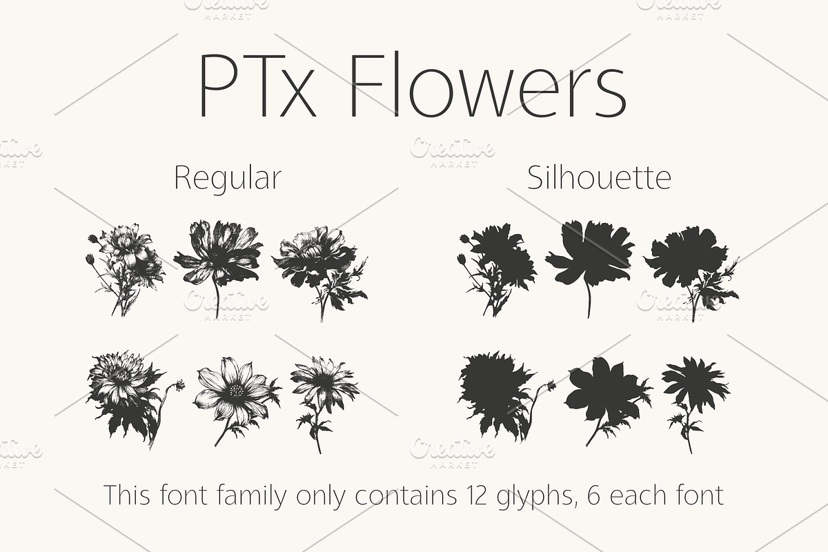 PTx Flowers Font Family, a Symbol Font by vectalex (Photo 1 of 4)