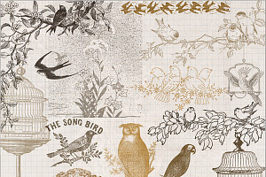 Vintage Bird Brushes