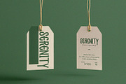Chic Serenity - Serif Font Type, a Script Font by ArtiXLabs (Thumbnail 7 of 11)