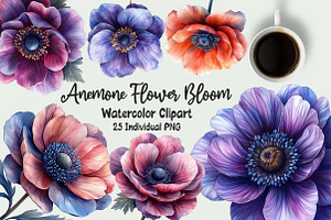 Anemone Flower Bloom Clipart, an Illustration by OK Design