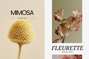 Soft Pastel Stock Photos Bundle 280, a Nature Photo by Tale.Haus (Thumbnail 8 of 19)