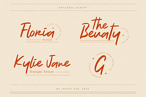 Natureal Script - Elegant Font