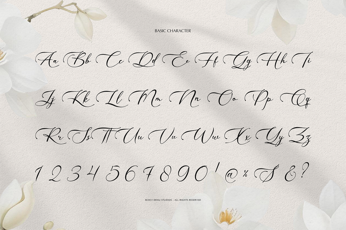Willsyard | Modern Calligraphy, a Script Font by Denustudios (Photo 10 of 12)