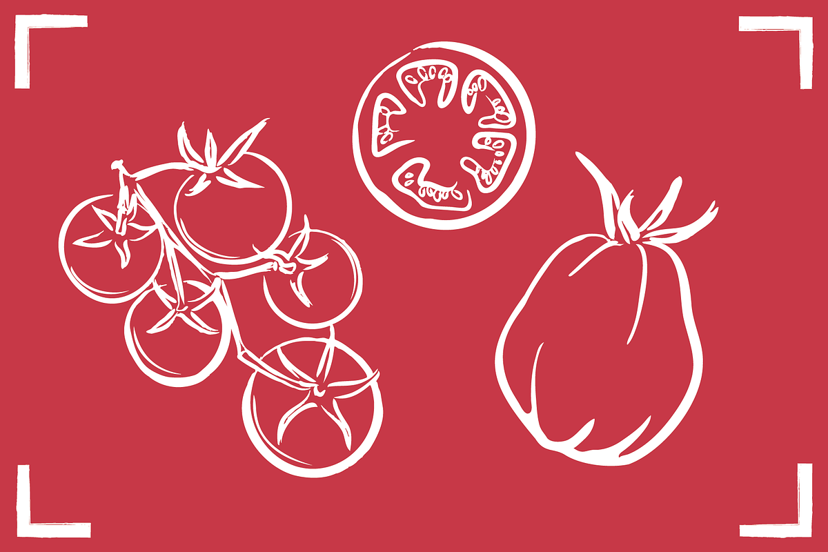 TOMATO LINE ART SET (24 elements), a Food Illustration by Bonfloret Studio (Photo 5 of 9)