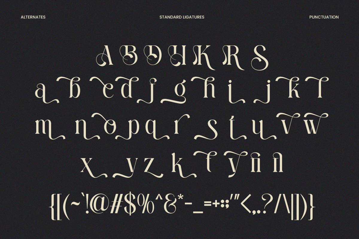 Sefina Brandish - Beauty Luxury Font, a Serif Font by Font Liner (Photo 10 of 10)