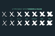 Altair - 14 Fonts, a Sans Serif Font by Zetafonts (Thumbnail 6 of 10)