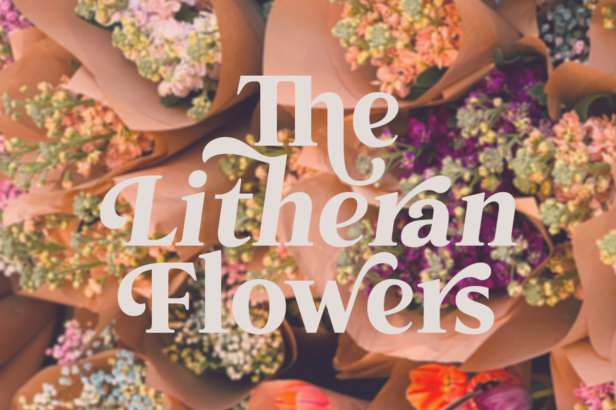 The Kalliagi, a Serif Font by Propertype (Photo 8 of 10)