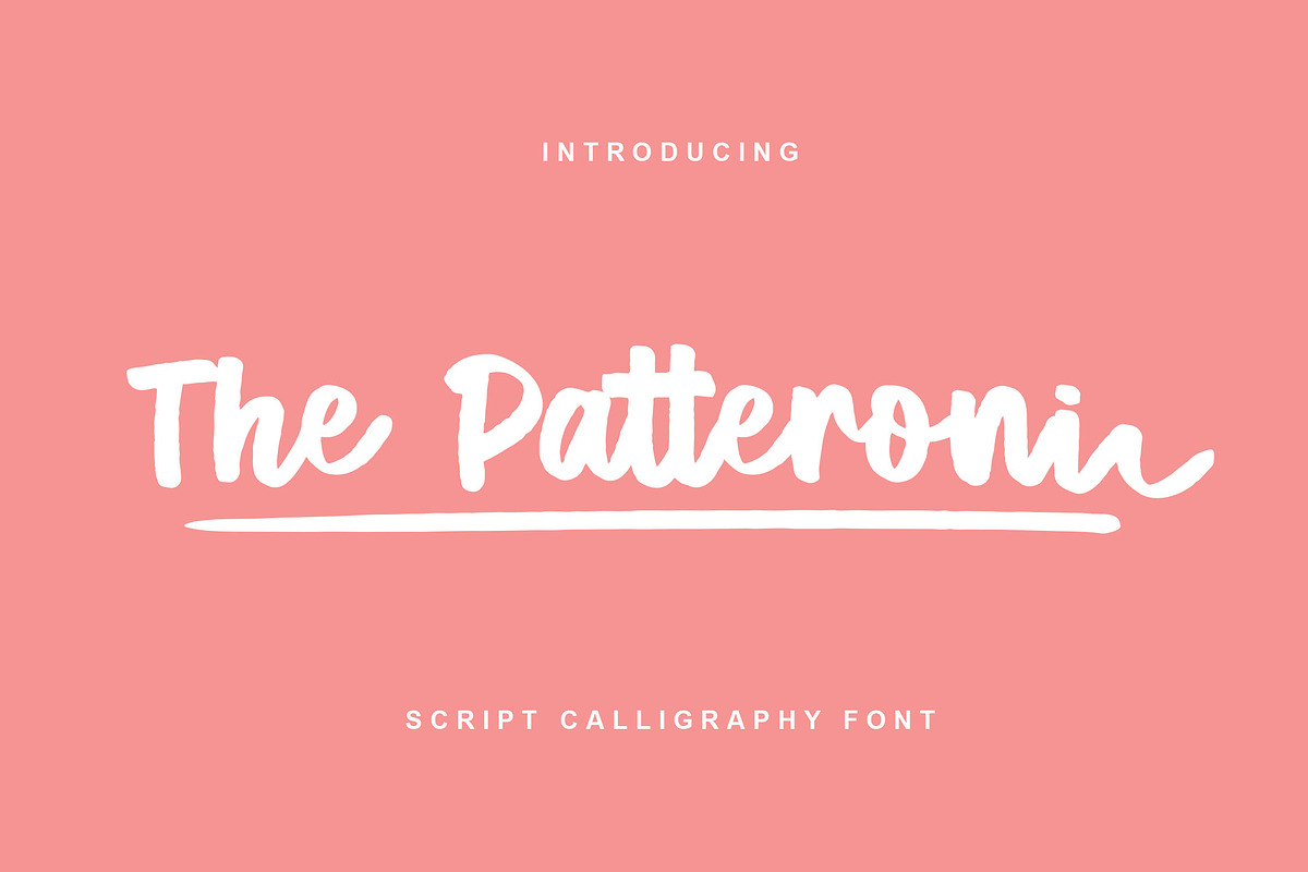 The Patteroni - Script Font, a Script Font by NTC Graphic (Photo 1 of 6)