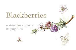 Watercolor Blackberries