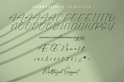 Rikudonata, a Handwritten Font by Integritype Studio (Thumbnail 10 of 15)