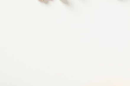 Garden tools on a white background. Frame of peat pots, paper bags with seeds,