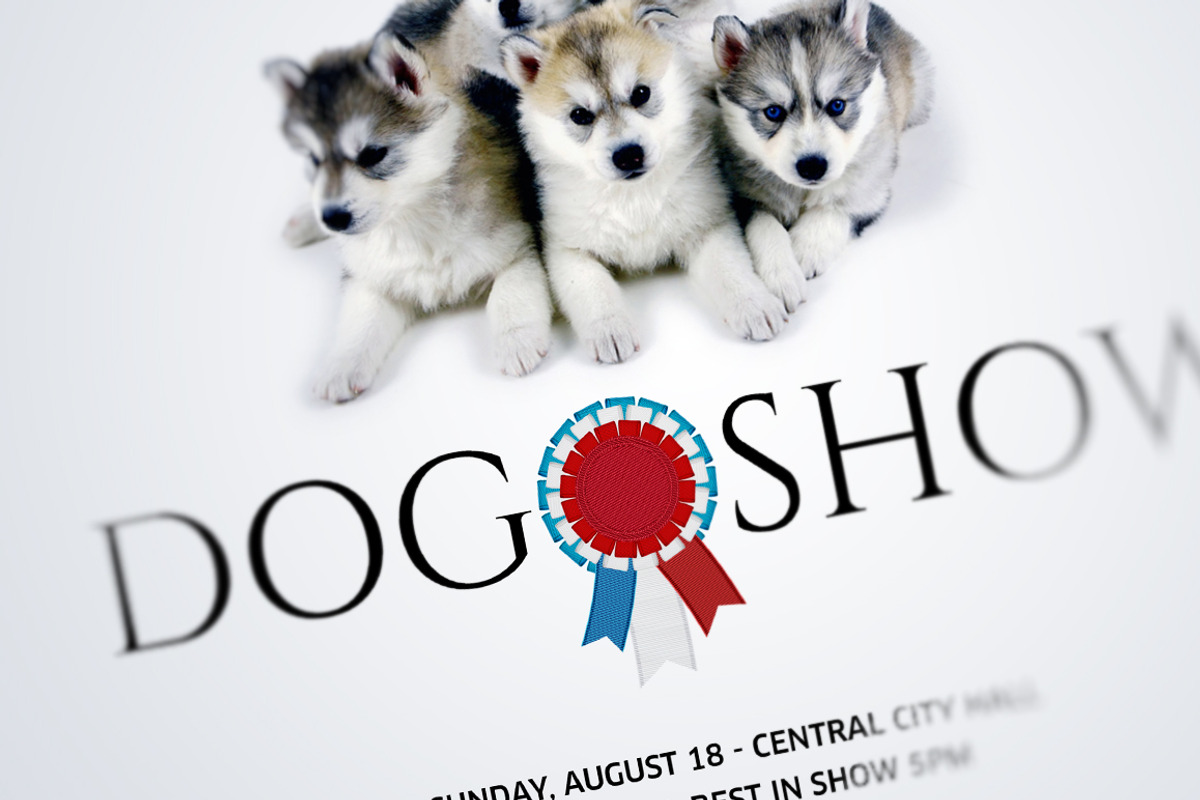 26 Rosettes PNG + Freebie, an Object Graphic by lissius (Photo 2 of 7)