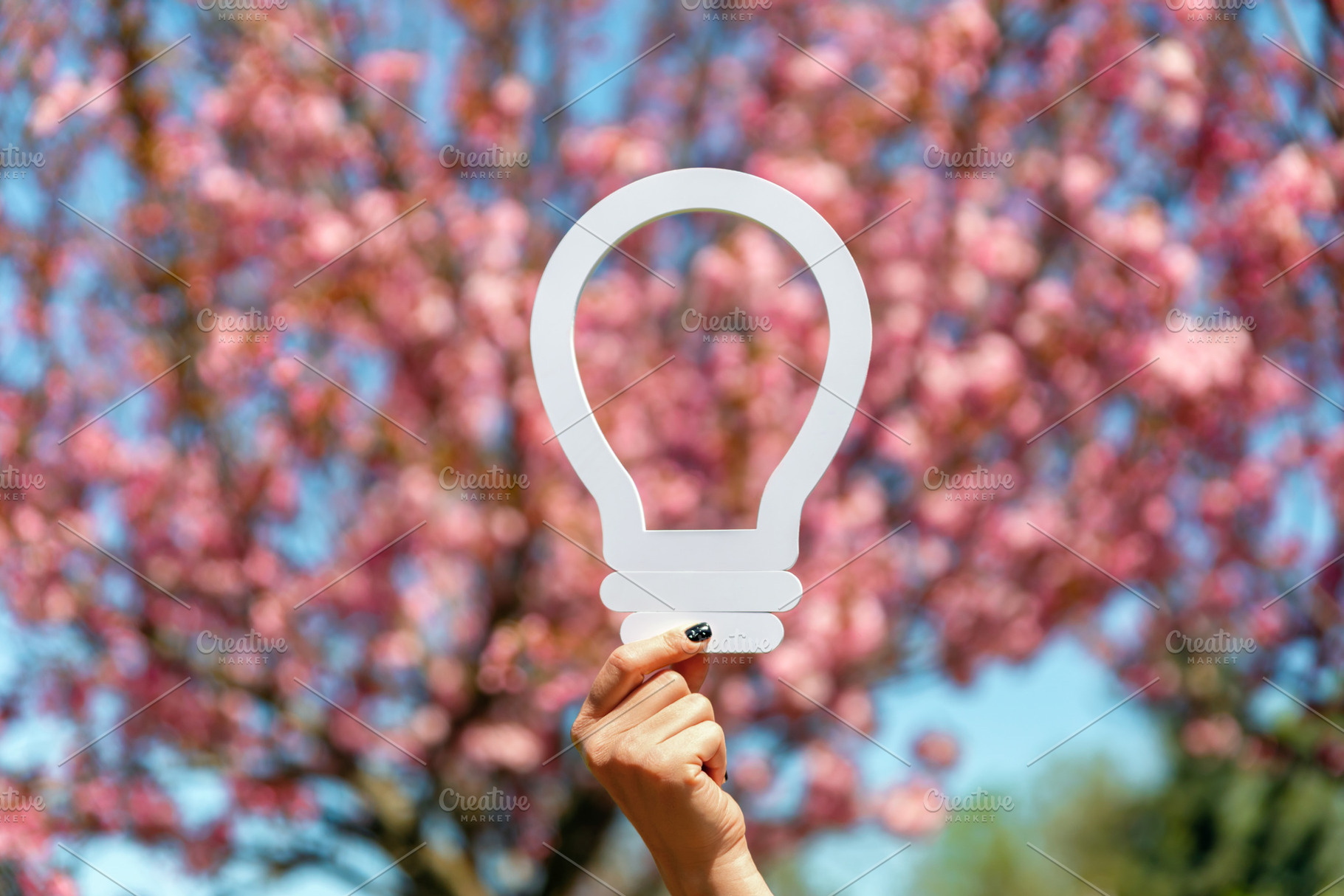 Hand holding a white light bulb icon in front of blooming pink c, a Nature Photo by Ales Munt