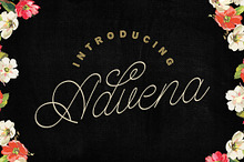 Advena (25% Off)