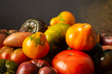Tomatoes of different varieties, a Food & Drink Photo by Pandateam