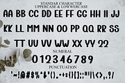 Bookmark, a Script Font by InermediaSTUDIO (Thumbnail 4 of 7)