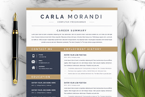 Modern Resume Template / CV Format