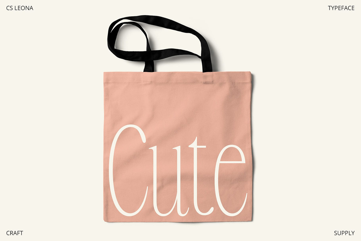 CS Leona – Condensed Font, a Serif Font by Craft Supply Co. (Photo 4 of 8)