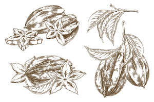 Vector set of elements with a, a Food Illustration by Sabelskaya
