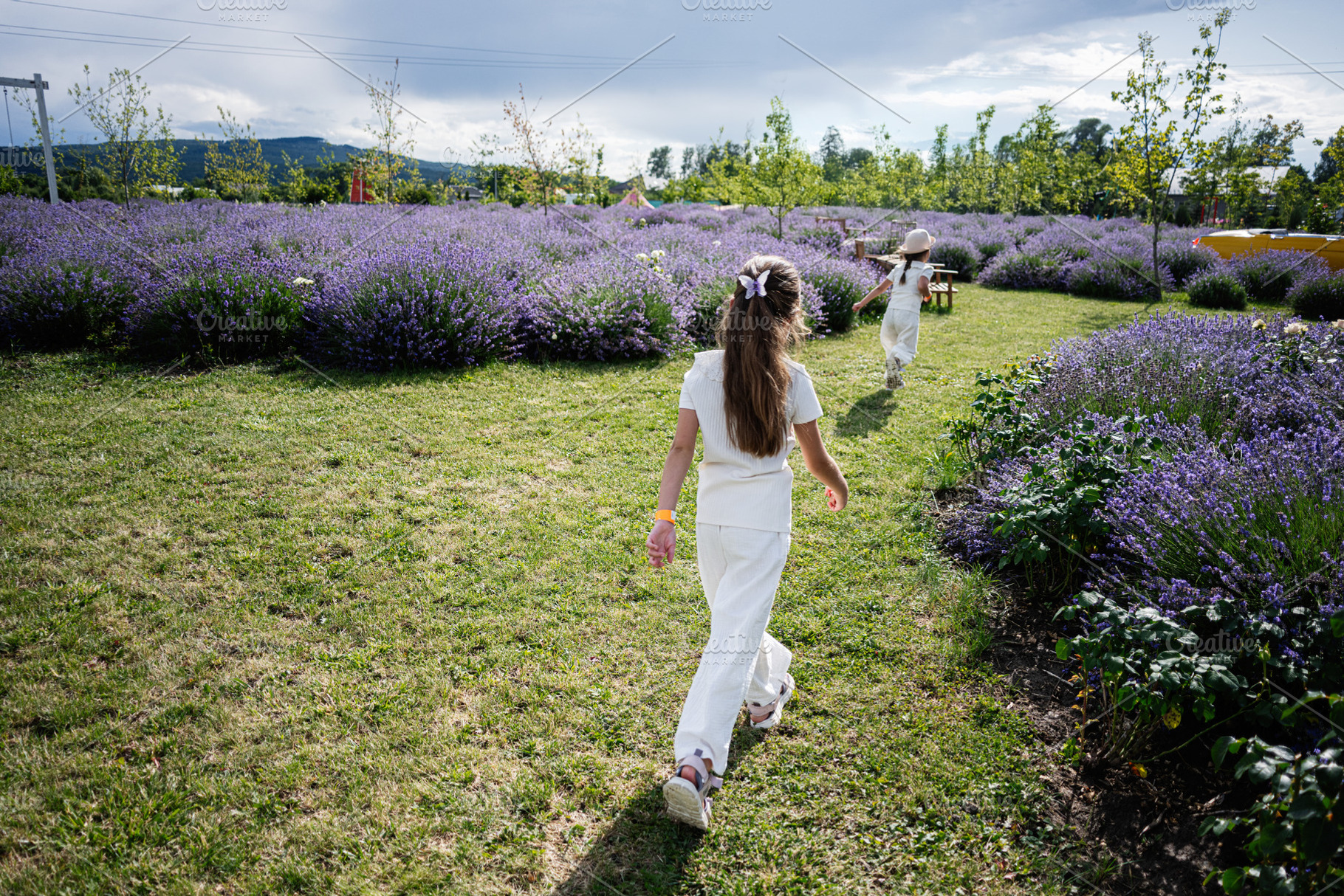 Young girls walking through a lavender field on a sunny summer day, a Photo by AS photostudio
