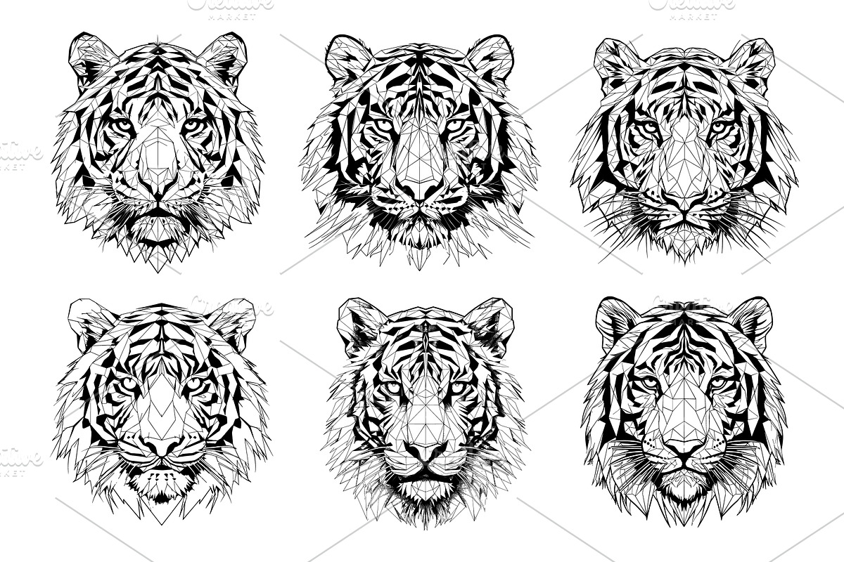 Polygonal tiger head line sketch, an Animal Illustration by Valerie Bodnar