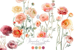 Watercolor Ranunculus Clipart Set, a Decorative Illustration by Patishop Art