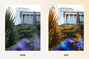 Autumn Vibes - Lightroom Presets, a Plug-in Add-On by ELITE ARTISTS (Thumbnail 9 of 14)