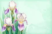 Watercolor iris flowers kit, a Texture Illustration by Sundra (Thumbnail 8 of 9)