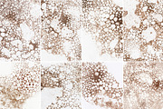 Bubbles Paper, a Texture Graphic by vetre.antanaviciute (Thumbnail 2 of 8)