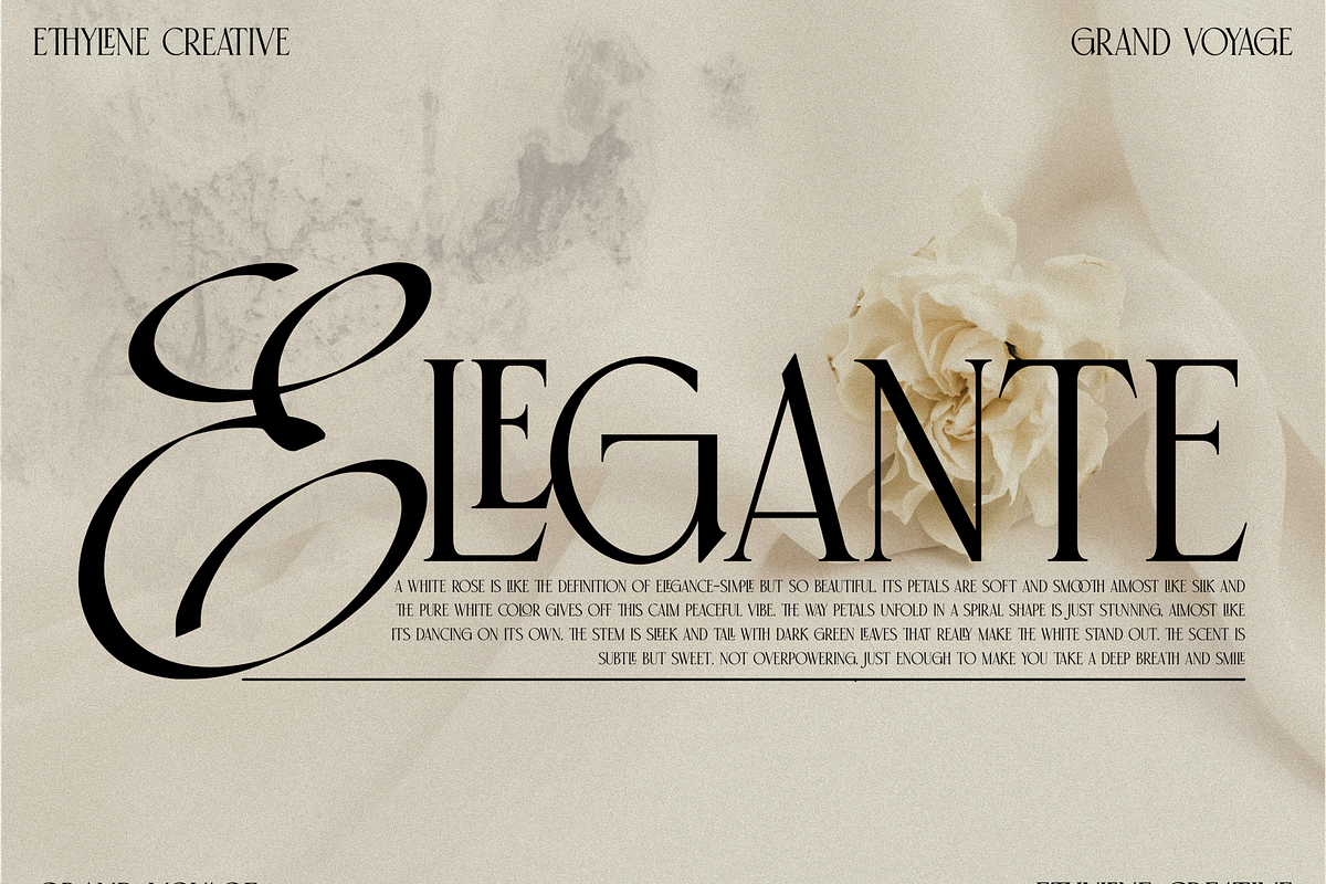 Grand Voyage, a Font by ethylene.creative (Photo 13 of 13)