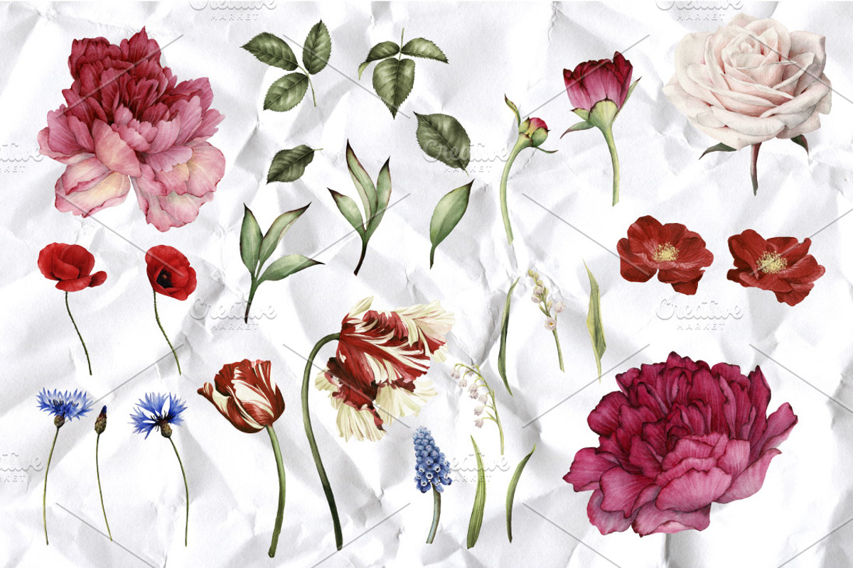 Set of isolated flowers and leaves, a Decorative Illustration by ollalya (Photo 2 of 2)
