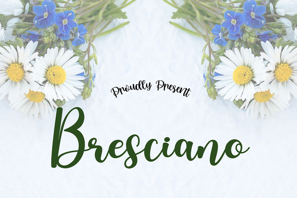 Bresciano Script, a Script Font by adelaide (Photo 1 of 4)
