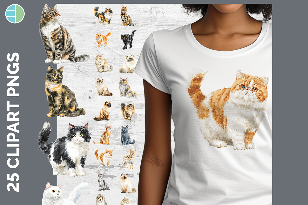 Cat Breed Clipart Bundle, 24 PNGs, an Animal Illustration by Enliven Designs (Photo 1 of 8)