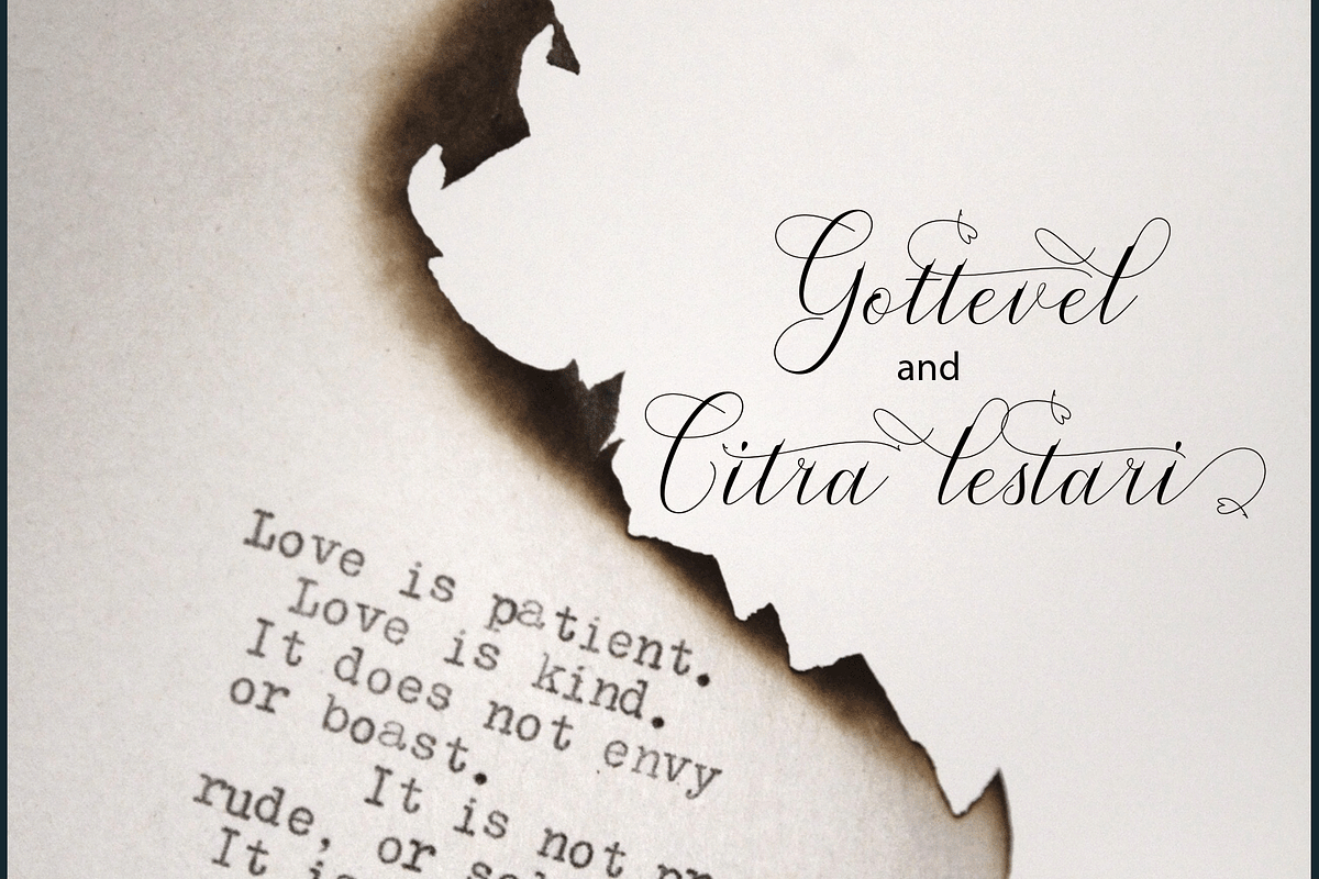 Songster, a Script Font by Deniz86 (Photo 13 of 16)