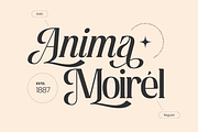 Astella Luxury - Branding Logo Font, a Serif Font by Nirmana Visual (Thumbnail 5 of 16)