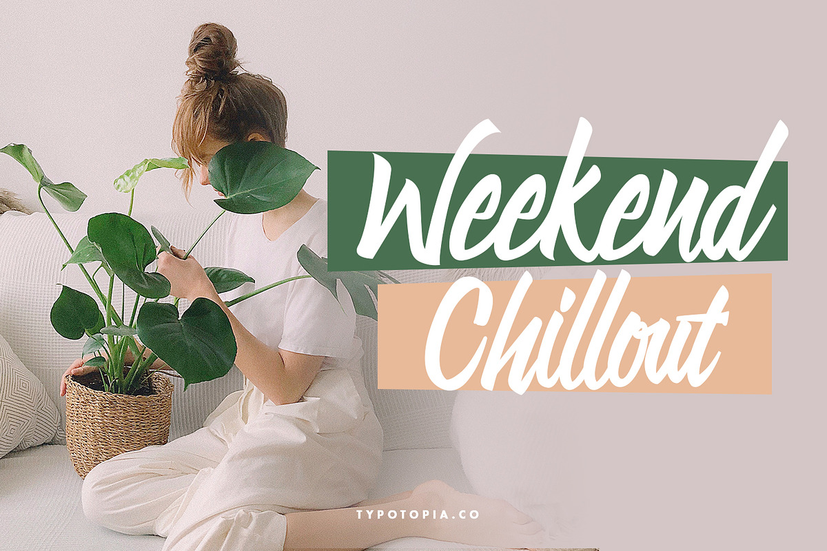 Linimasa - Modern Script Font, a Script Font by edukka (Photo 8 of 11)