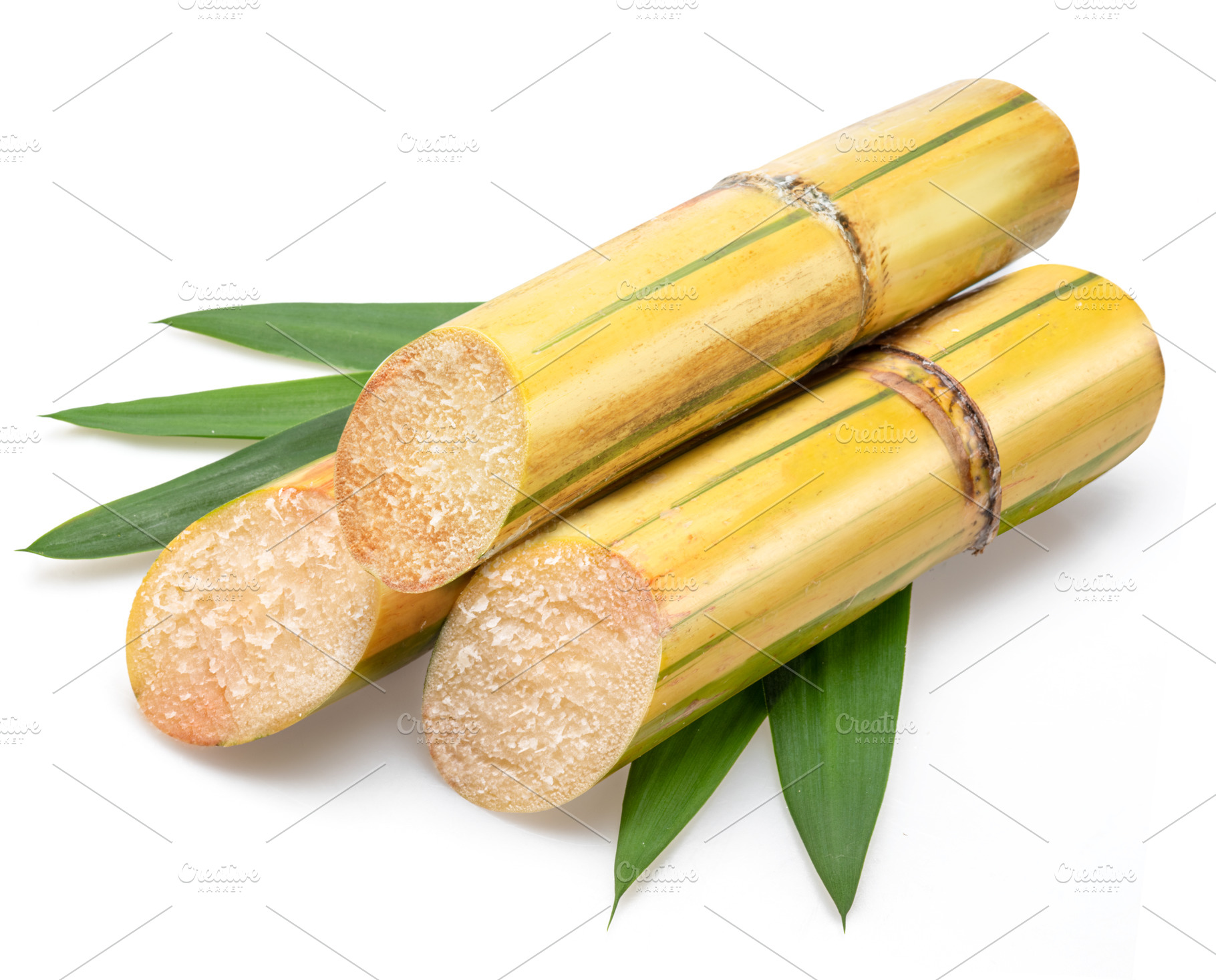 Sugarcanes stalks with sugar cane leaves isolated on white backg, a Food & Drink Photo by Volff