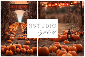 11 Halloween Fields Backdrops