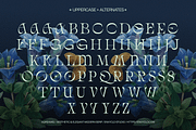 AQREAMIG — Luxury Ligature Serif, a Serif Font by Enxyclo Studio (Thumbnail 13 of 25)