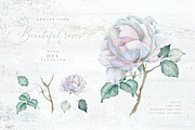 Delicate Watercolor Florals, a Decorative Illustration by Eva Katerina (Thumbnail 22 of 25)