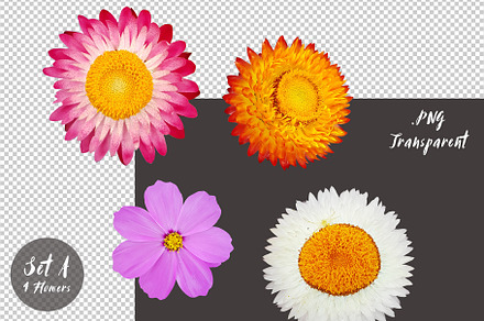 Die-cut Flowers Set A