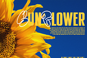 Double Buzz, a Font by ethylene.creative (Thumbnail 9 of 13)