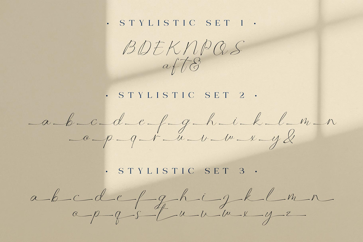 Manfollo Modern Script, a Script Font by alit design (Photo 7 of 15)