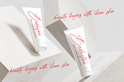 Loudspeaky Absolute Signature Brush, a Script Font by stylishtype.co (Thumbnail 2 of 10)