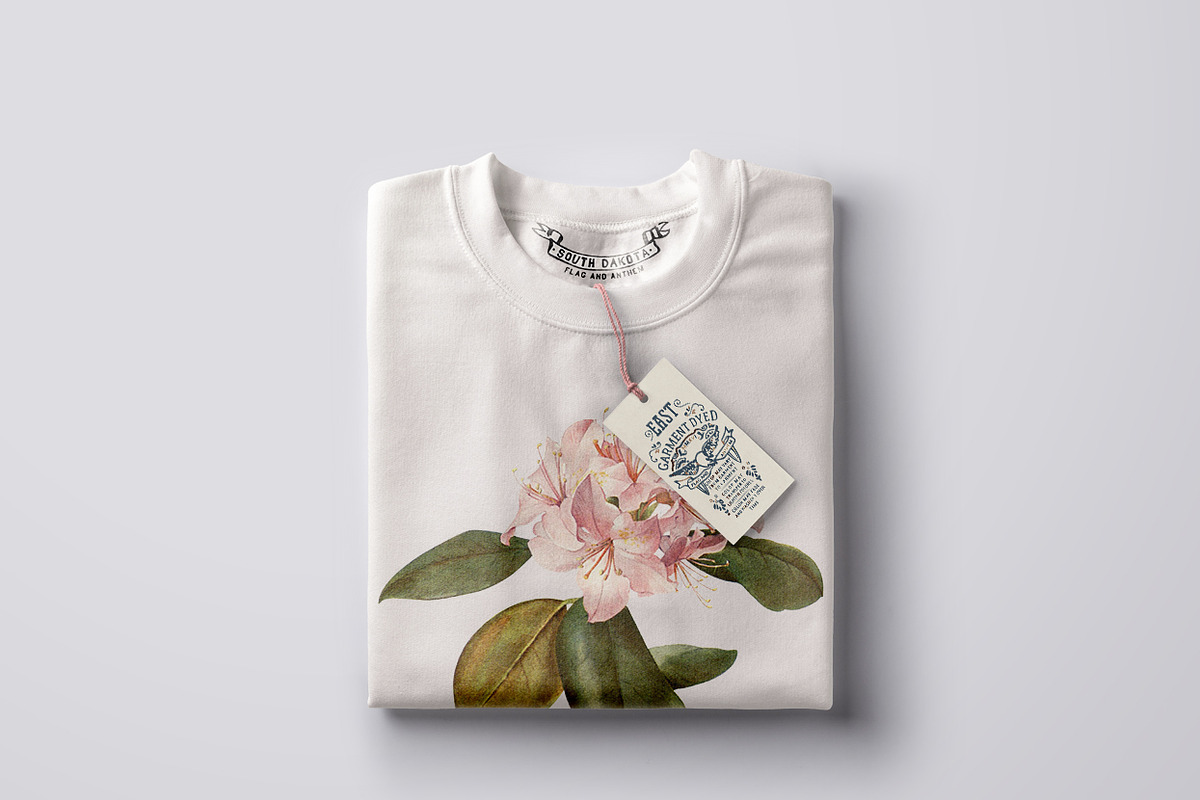 5x Isolated Flower Illustration (01), an Object Graphic by Europe.graphics (Photo 3 of 7)