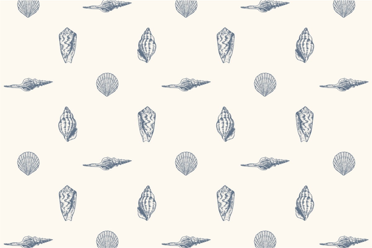 10 Hand Drawn Seashell + 5 Patterns, an Object Illustration by Storyteller Imagery (Photo 5 of 7)