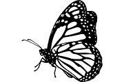 Butterfly Silhouette Bundle, an Object Graphic by Designer_Momina (Thumbnail 14 of 20)